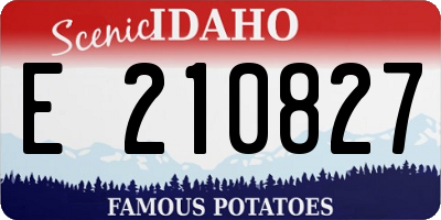 ID license plate E210827