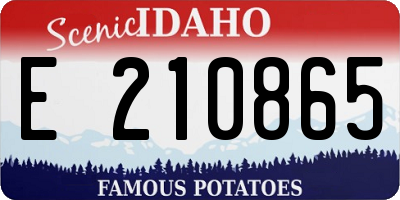 ID license plate E210865