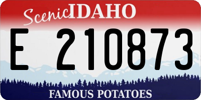 ID license plate E210873