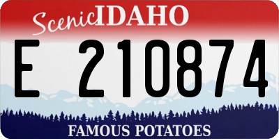 ID license plate E210874