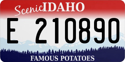ID license plate E210890