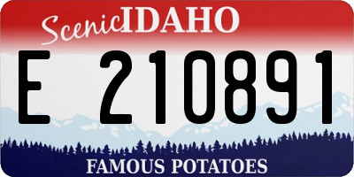 ID license plate E210891