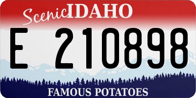 ID license plate E210898
