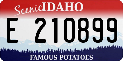 ID license plate E210899