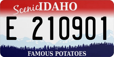 ID license plate E210901