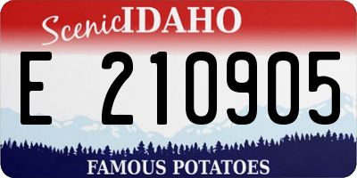 ID license plate E210905