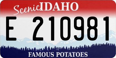 ID license plate E210981
