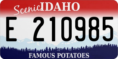 ID license plate E210985