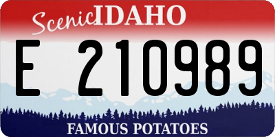 ID license plate E210989