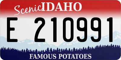 ID license plate E210991