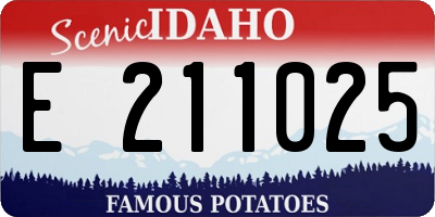 ID license plate E211025