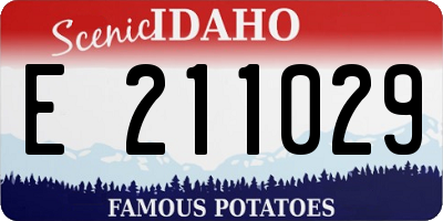 ID license plate E211029