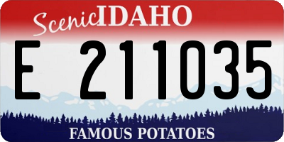 ID license plate E211035