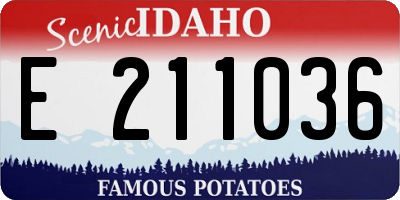 ID license plate E211036