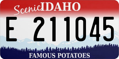ID license plate E211045