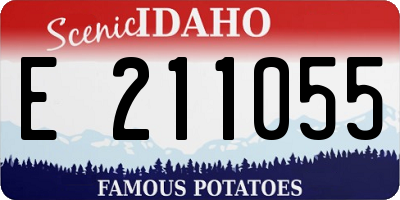 ID license plate E211055