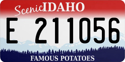 ID license plate E211056