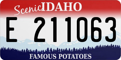 ID license plate E211063