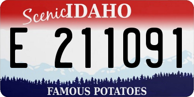 ID license plate E211091