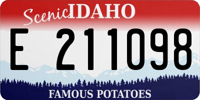 ID license plate E211098