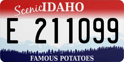 ID license plate E211099