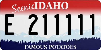 ID license plate E211111