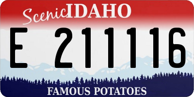ID license plate E211116