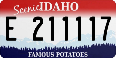 ID license plate E211117