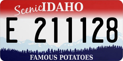 ID license plate E211128