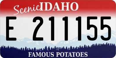 ID license plate E211155