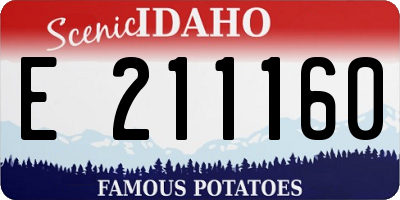 ID license plate E211160