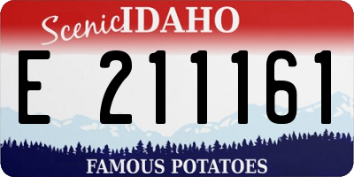 ID license plate E211161