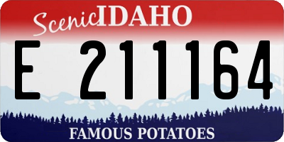 ID license plate E211164