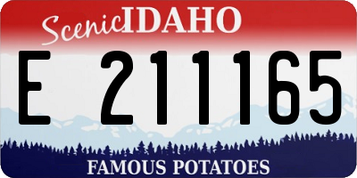 ID license plate E211165