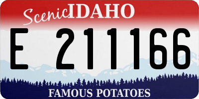 ID license plate E211166