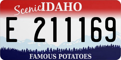 ID license plate E211169
