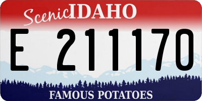 ID license plate E211170