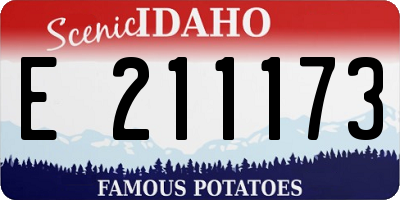 ID license plate E211173