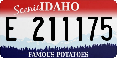 ID license plate E211175