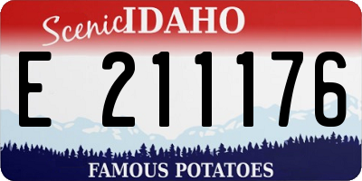 ID license plate E211176