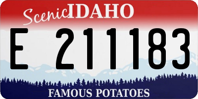 ID license plate E211183