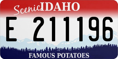 ID license plate E211196