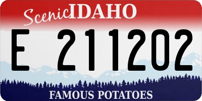 ID license plate E211202