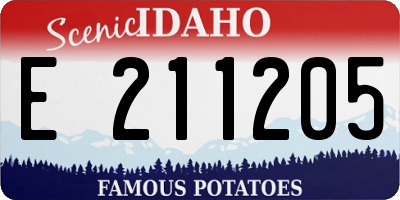 ID license plate E211205