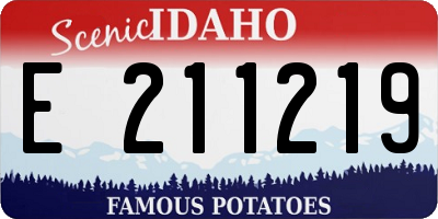 ID license plate E211219