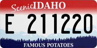 ID license plate E211220