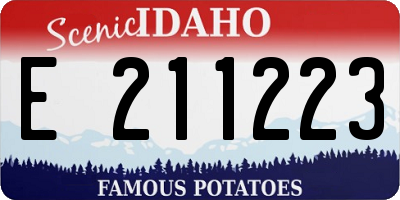 ID license plate E211223