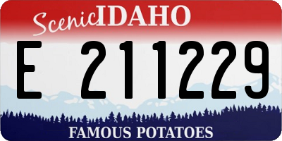 ID license plate E211229