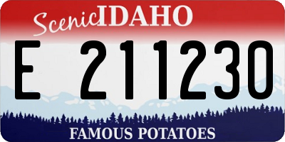ID license plate E211230