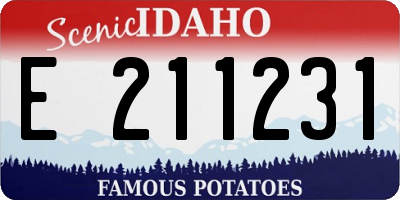 ID license plate E211231
